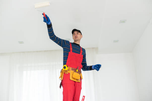 Best Comprehensive Air Testing for Mold Contaminants  in Glen Allen, VA