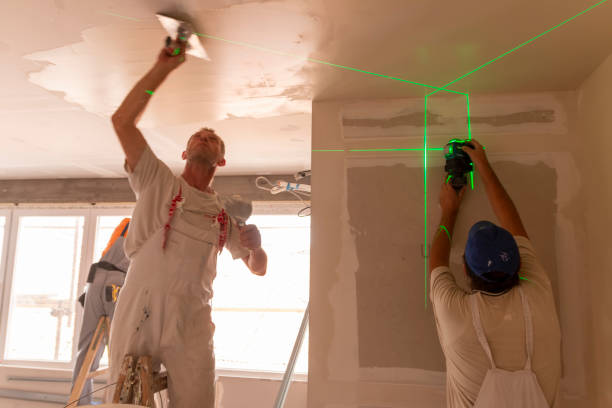 Best Attic Mold Removal  in Glen Allen, VA