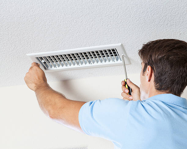 Best Mold Odor Removal Services  in Glen Allen, VA